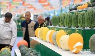 潍坊新瓜最新爆料,揭秘背后惊人真相  第3张