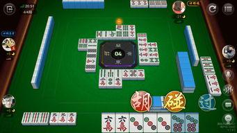 贵州麻将直播爆料视频大全,视频大全背后的精彩瞬间  第3张